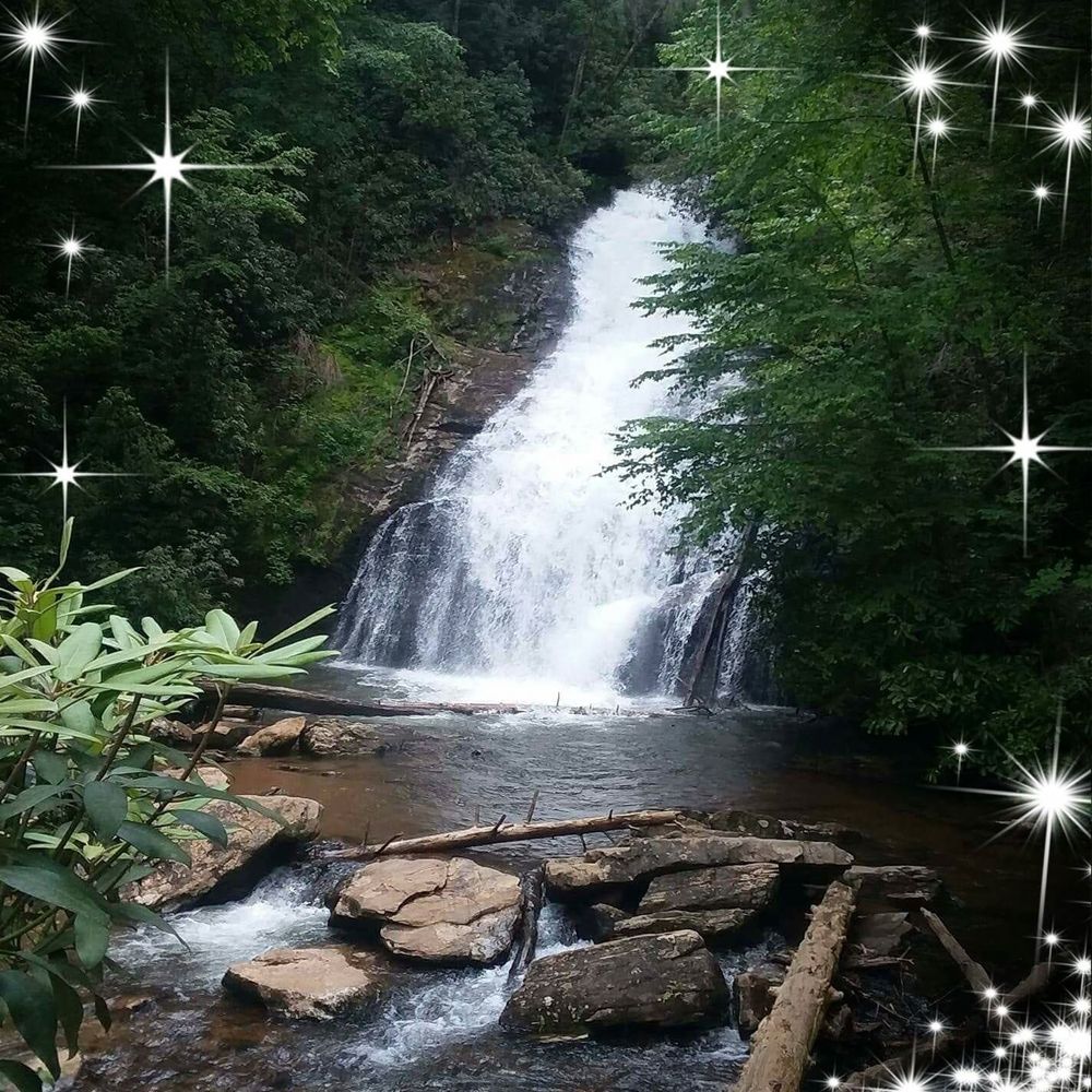 Meet your Posher, Theresa